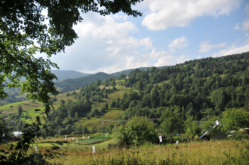 Drevenicka 110 Villa Zazriva Luaran gambar
